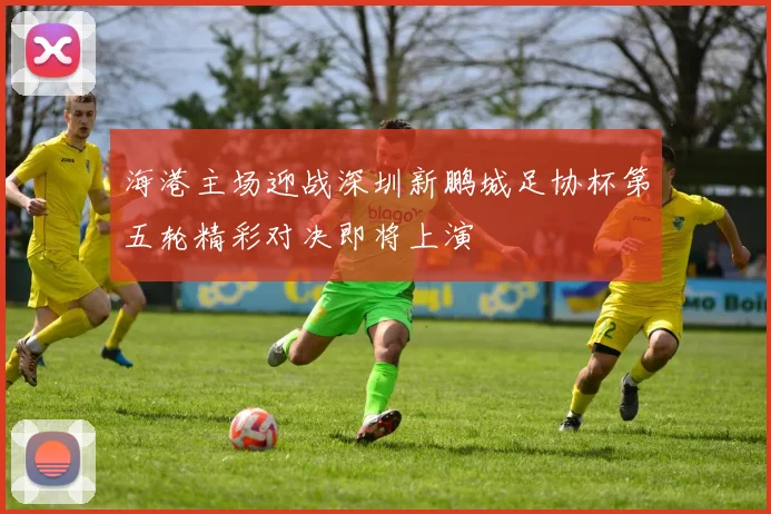 海港主场迎战深圳新鹏城足协杯第五轮精彩对决即将上演