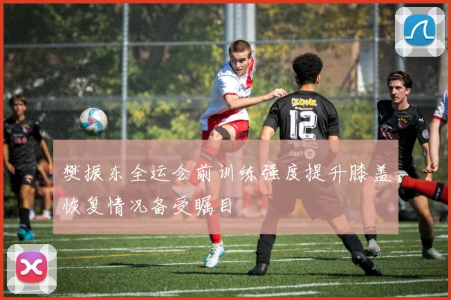 樊振东全运会前训练强度提升膝盖恢复情况备受瞩目